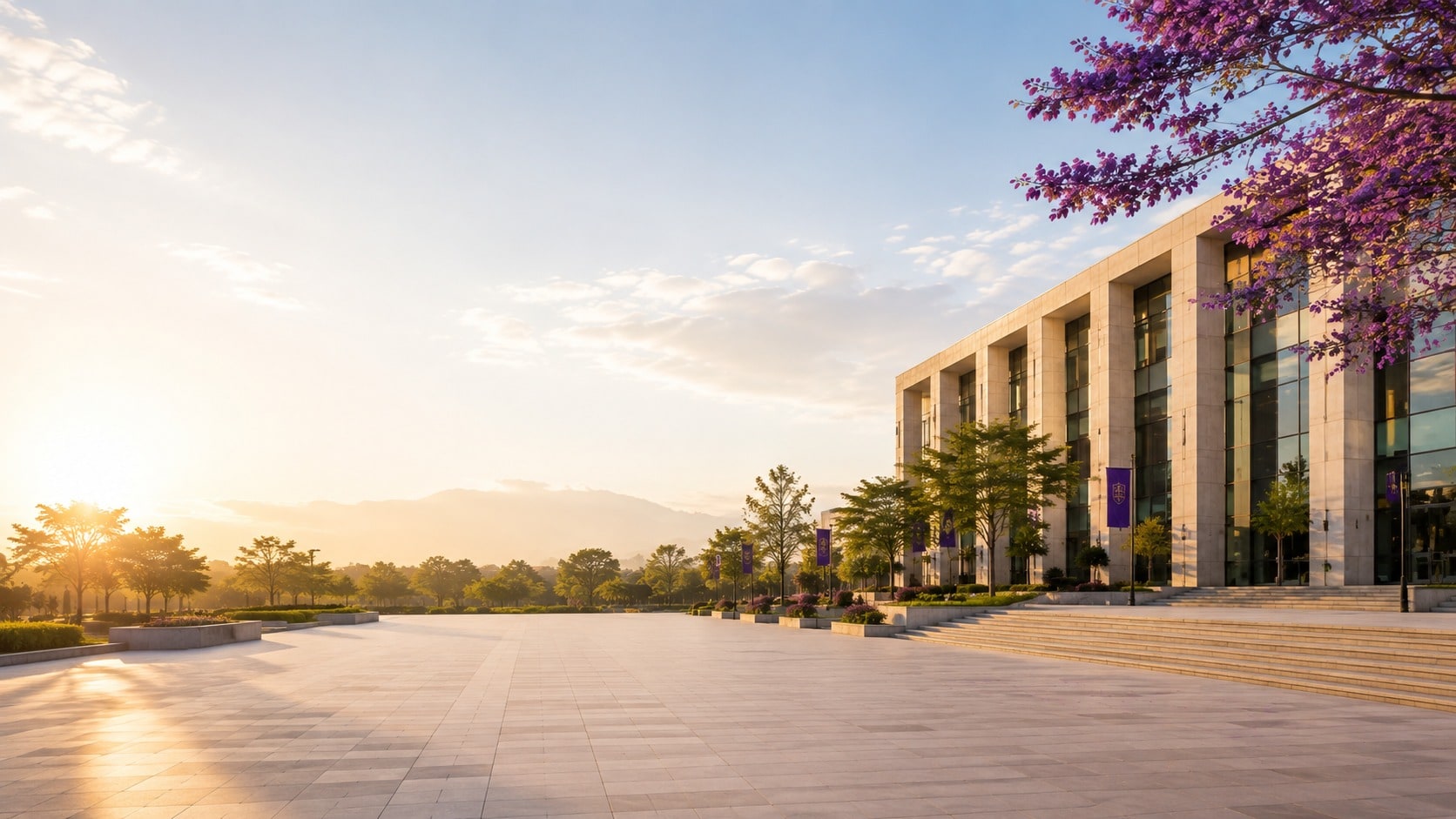 A stone faculty building with columns, a paved plaza and a jacaranda in flower at sunrise